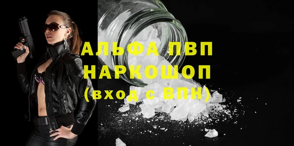 крисы Новодвинск