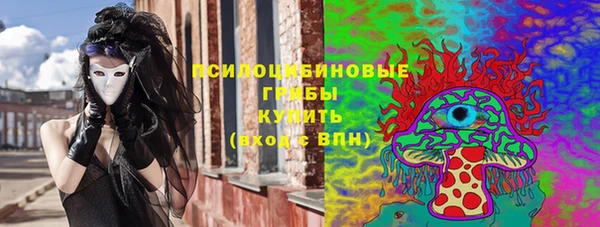 сатива Няндома