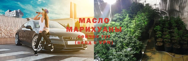 сатива Няндома