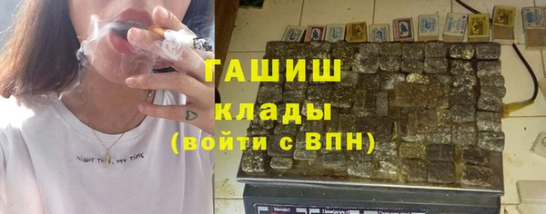 сатива Няндома