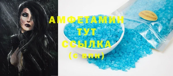 сатива Няндома