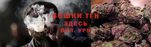 сатива Няндома