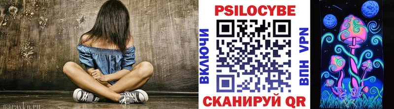 Псилоцибиновые грибы Psilocybine cubensis  Заинск 