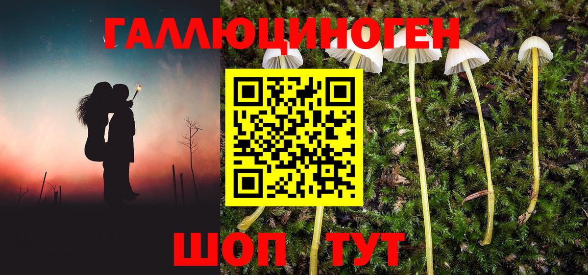 Галлюциногенные грибы ЛСД Заинск
