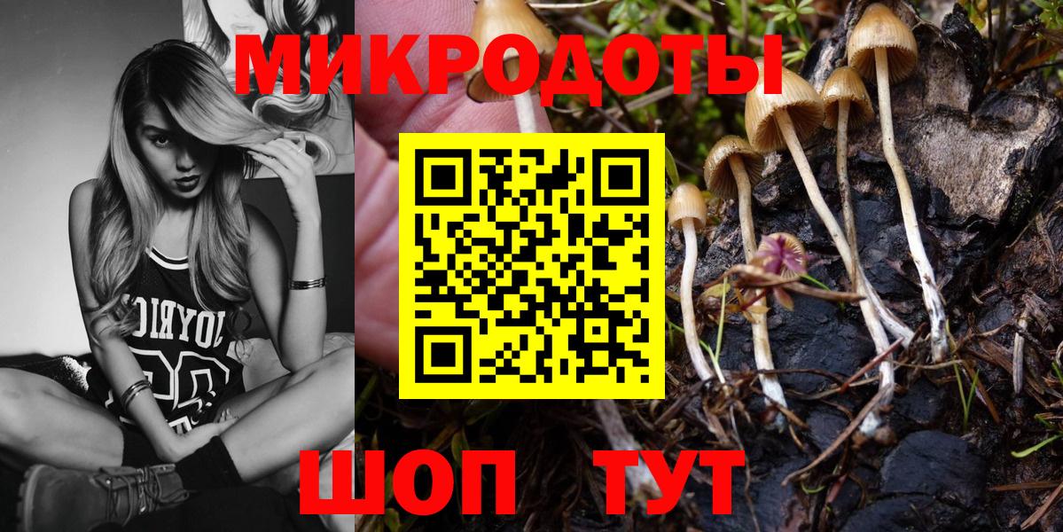 Заинск  Галлюциногенные грибы мухоморы  Вход с VPN 